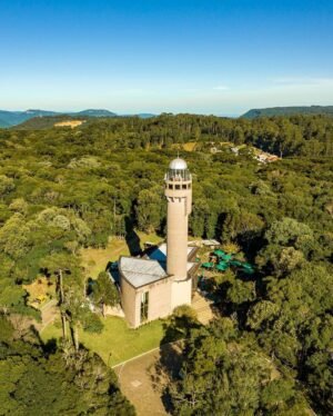 323896337_905725967258133_5245759549553811864_n