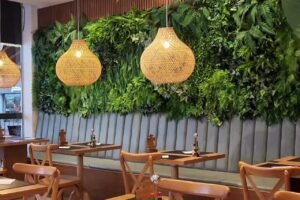 658225251_915755648001444_2956219536422862886_n