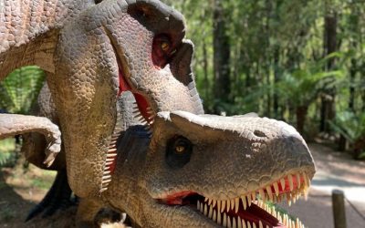Fotos Vale dos Dinossauros (3)