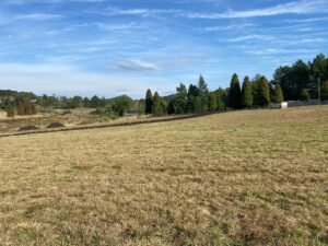 Parque do Palácio (3)